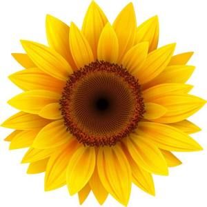 Meet your Posher, Kristy